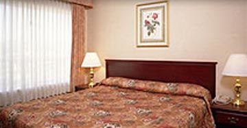 Hotel Sandman Airport 3*